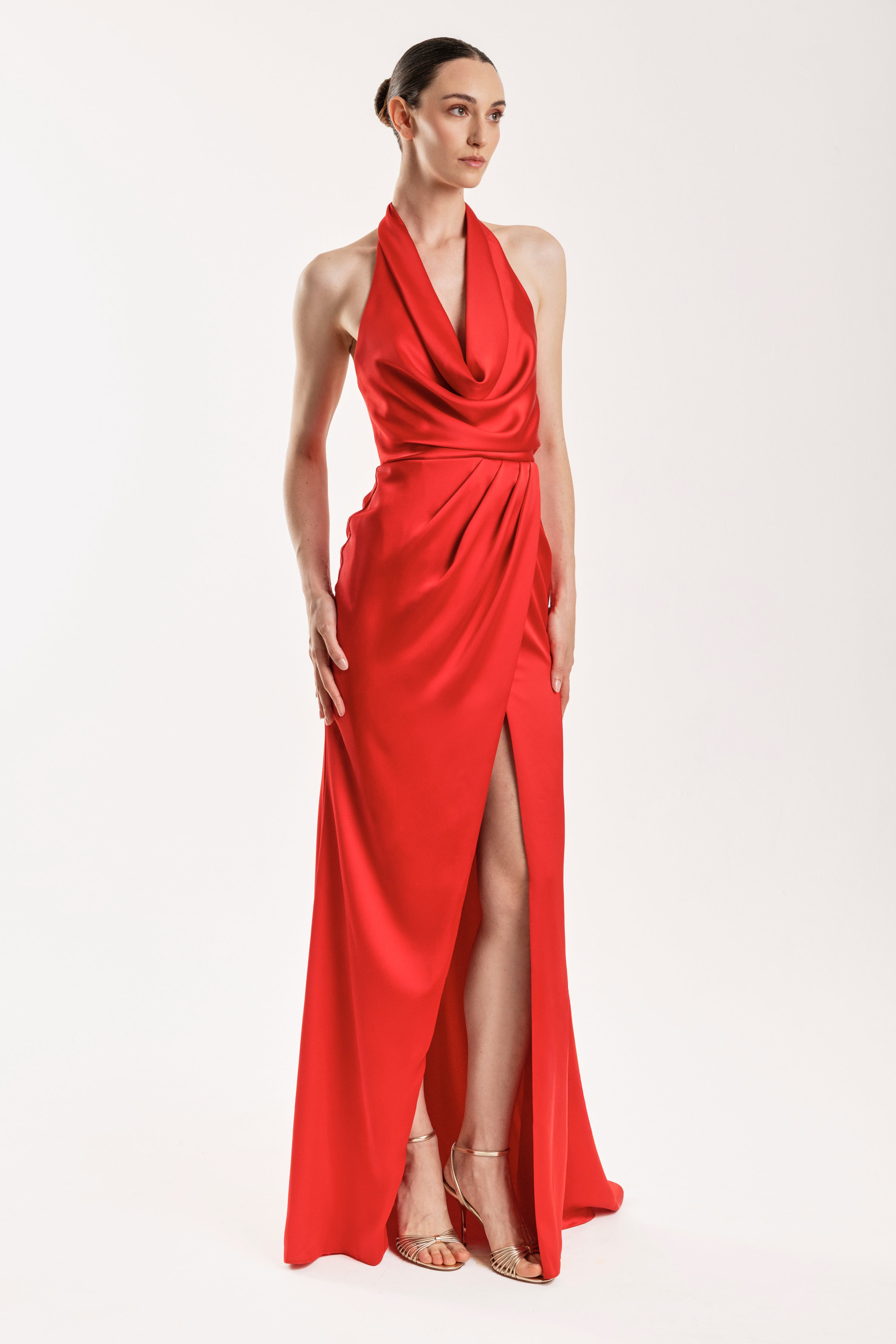 Tarik Ediz DALERIA DRESS-1