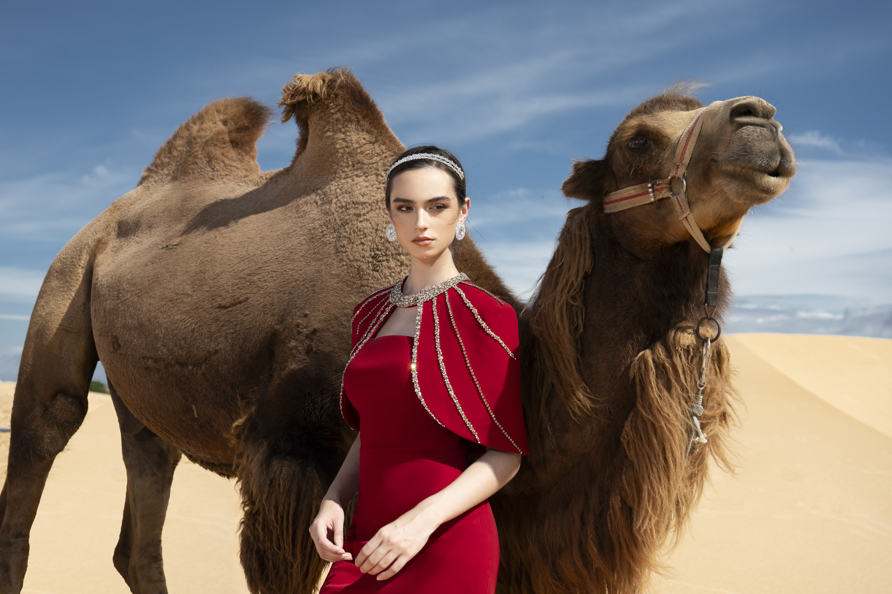Crystal Cape Red Column Maxi Gown