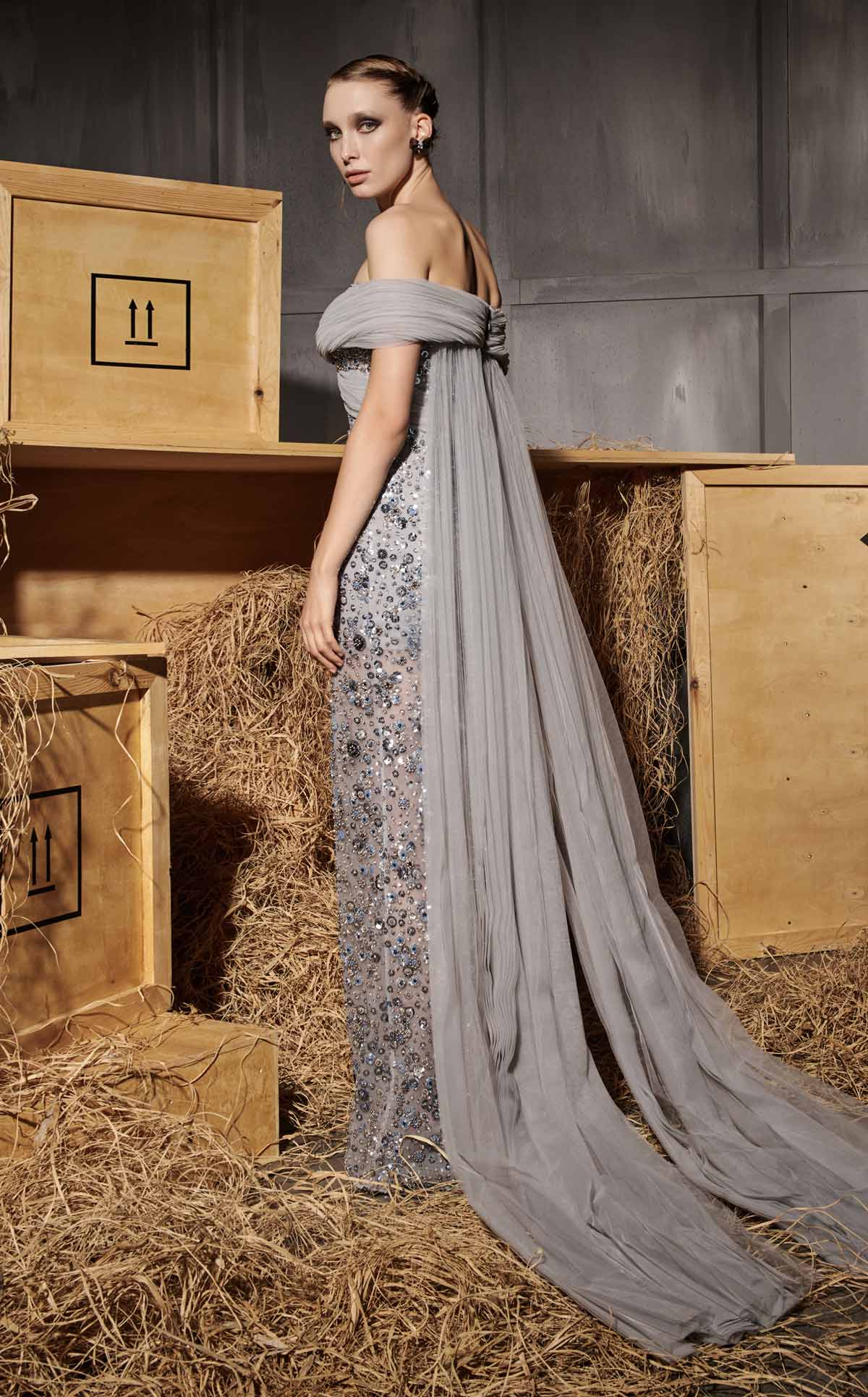 Nour Fathallah N0652 - Embroidered Gray Column Gown with Cape Train