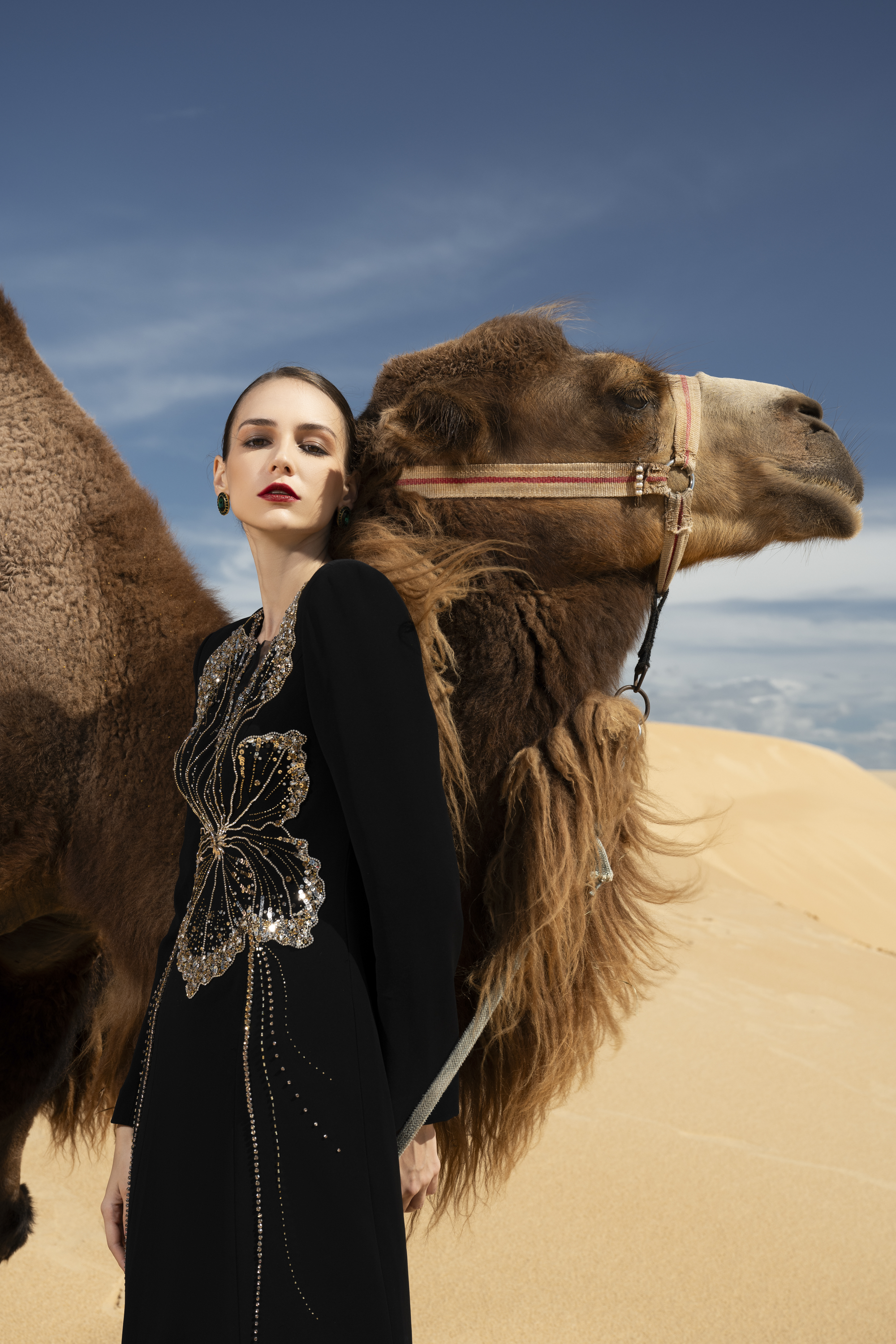 Orchid Embellished Black Long Sleeve Maxi Gown