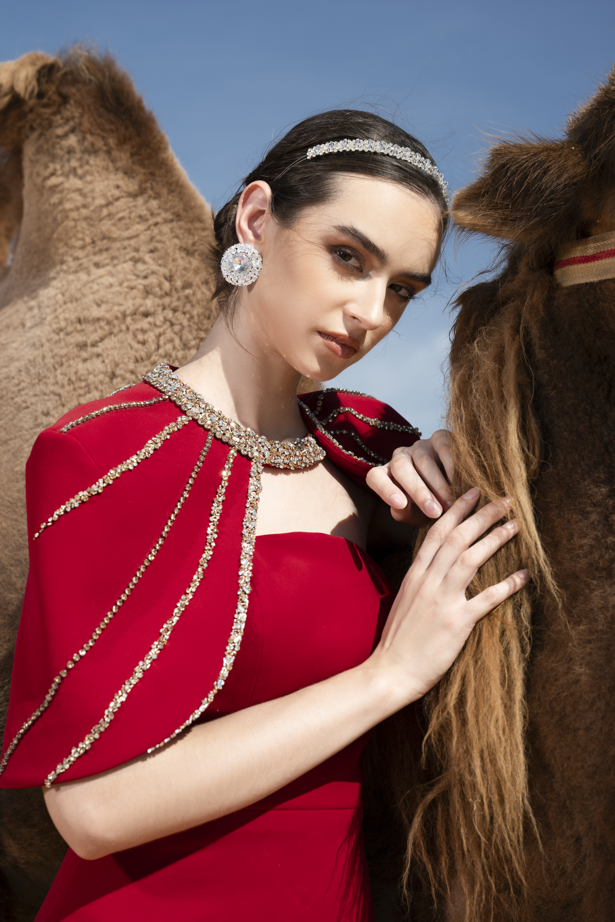 Crystal Cape Red Column Maxi Gown