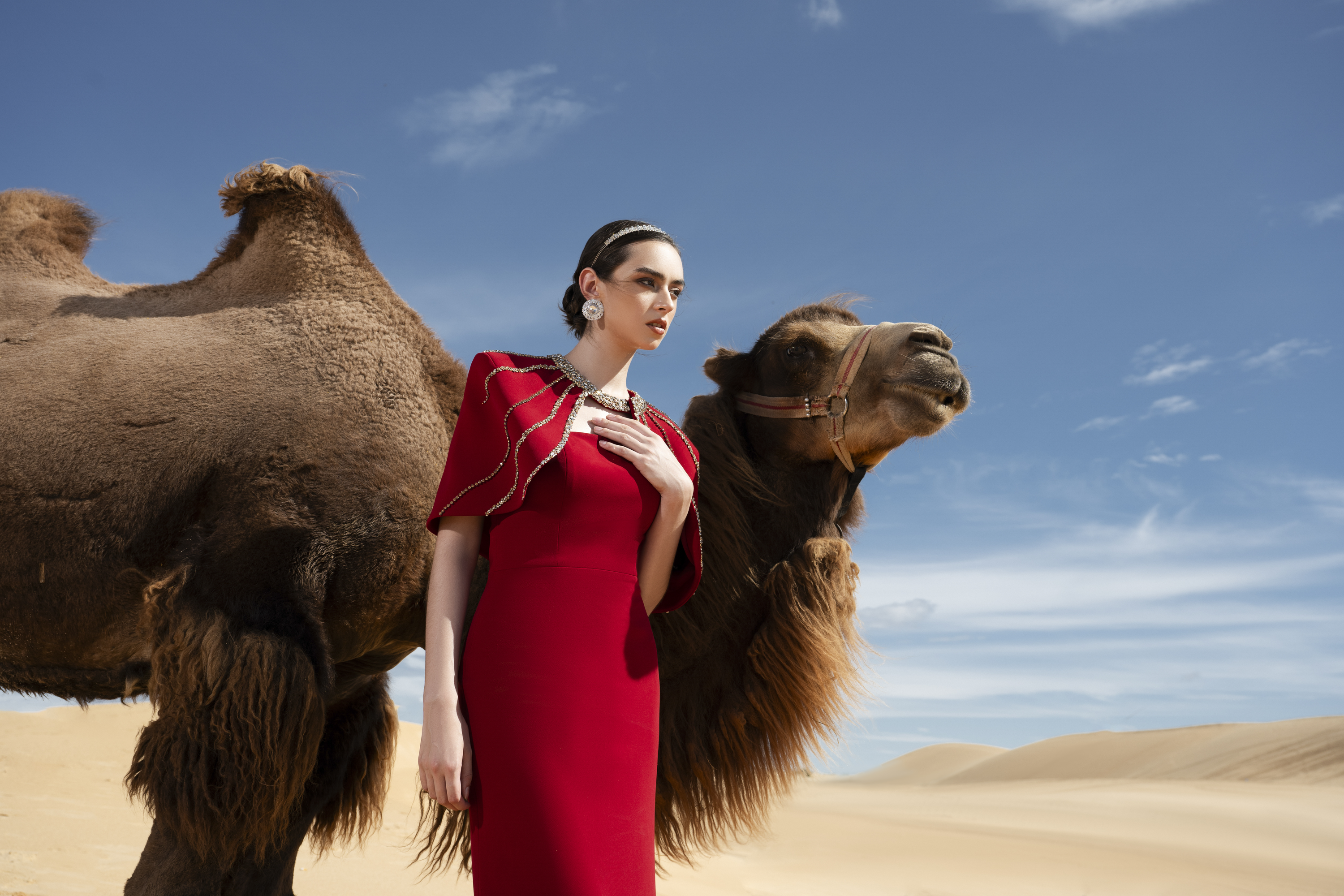 Crystal Cape Red Column Maxi Gown