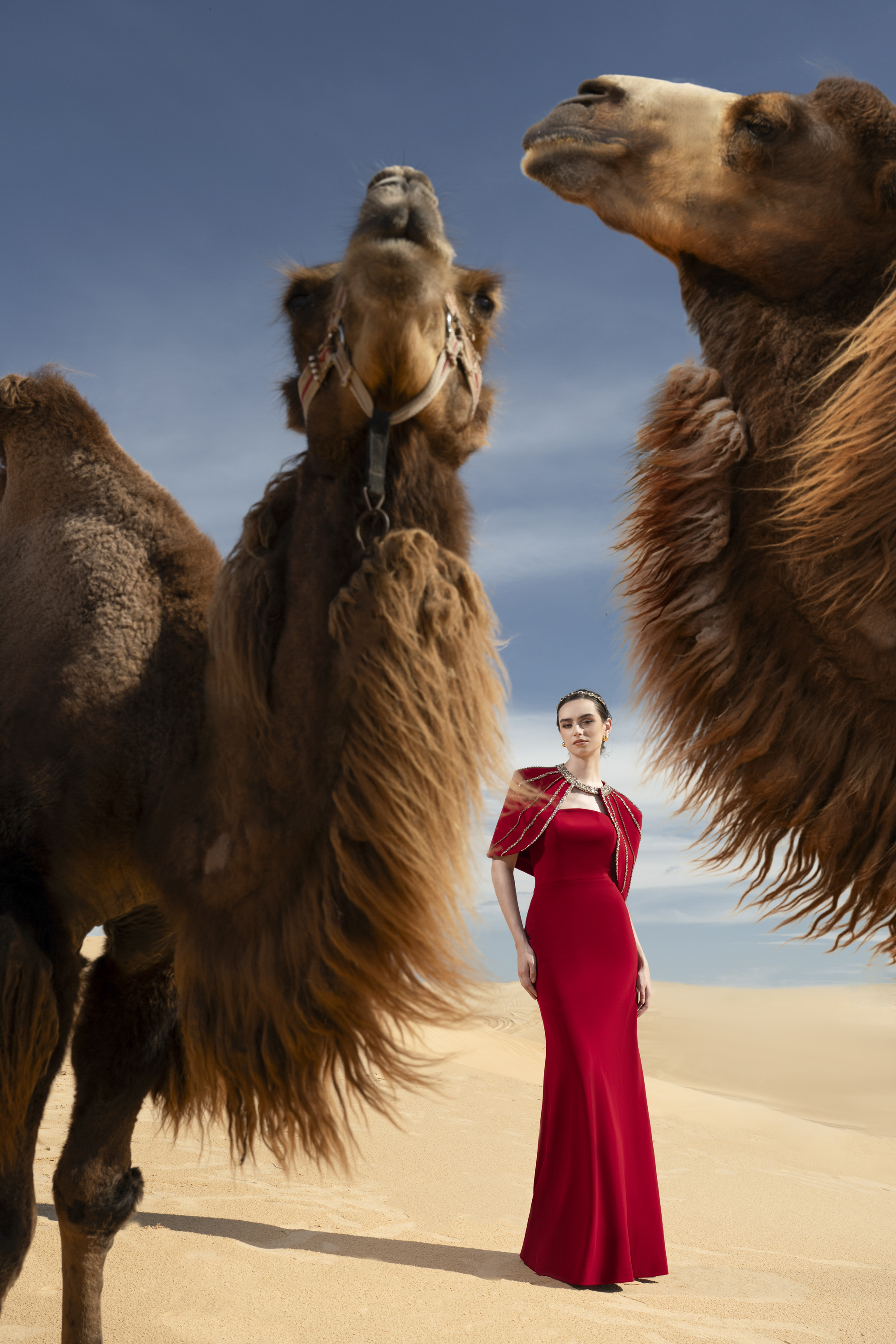 Crystal Cape Red Column Maxi Gown