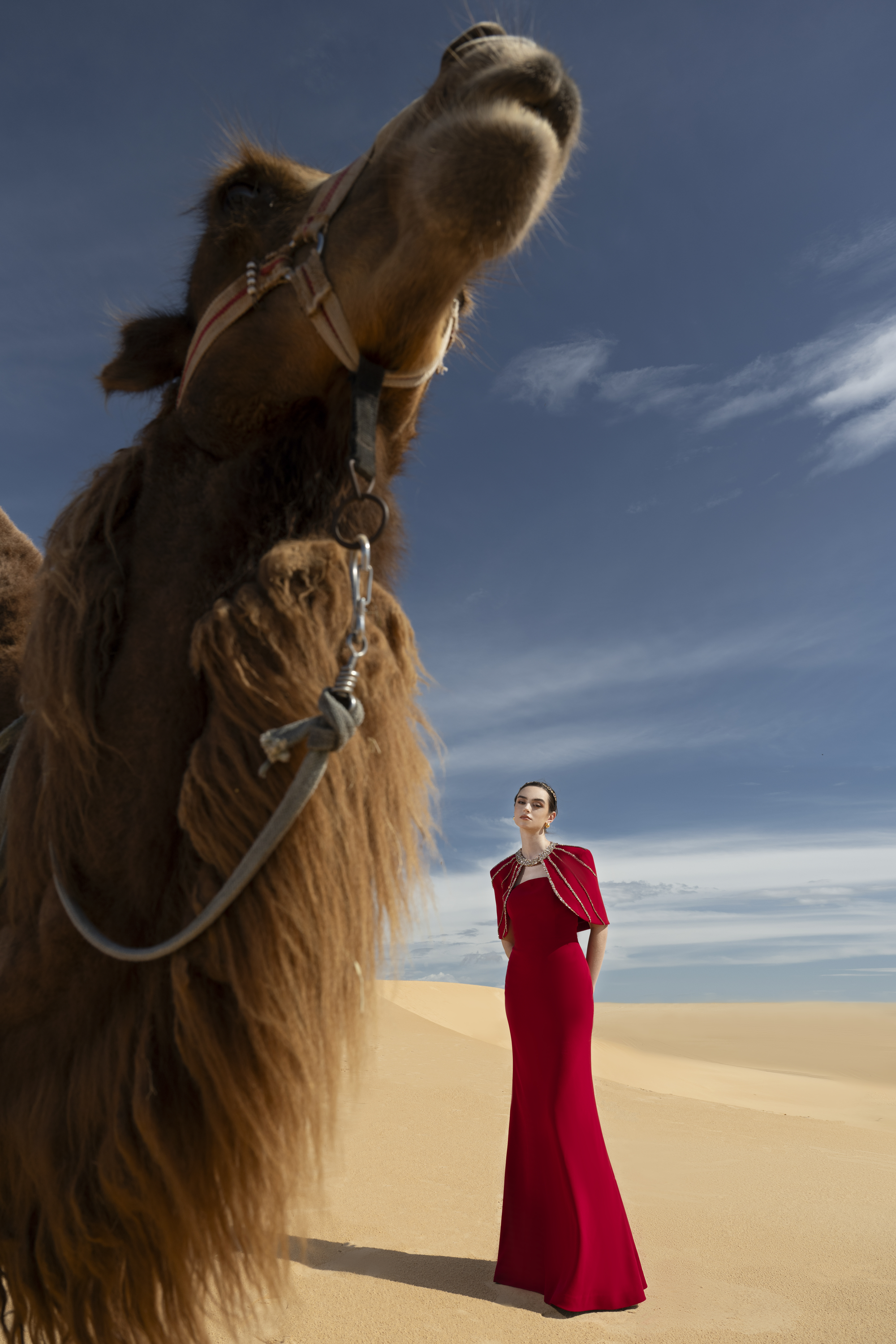 Crystal Cape Red Column Maxi Gown