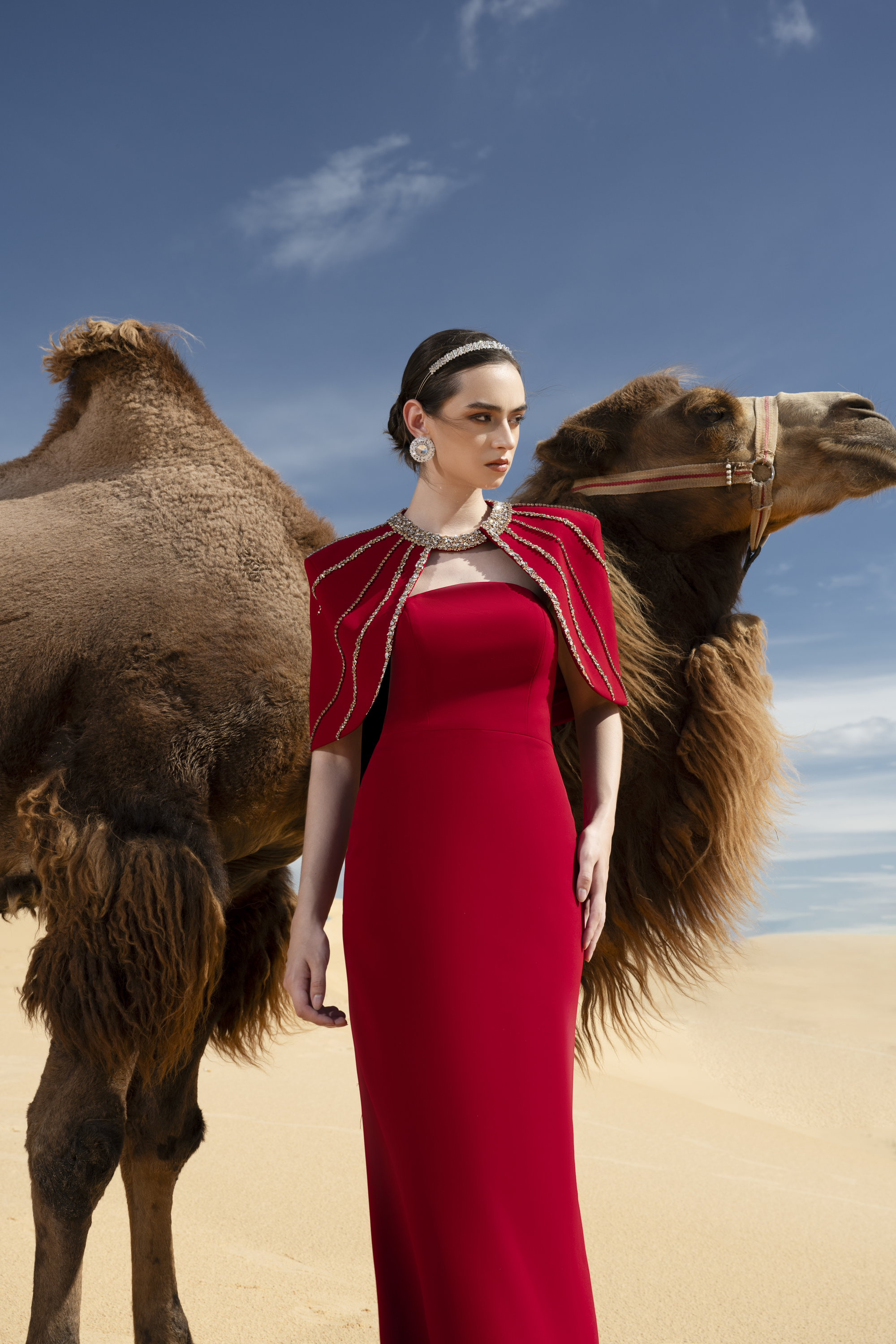 Crystal Cape Red Column Maxi Gown