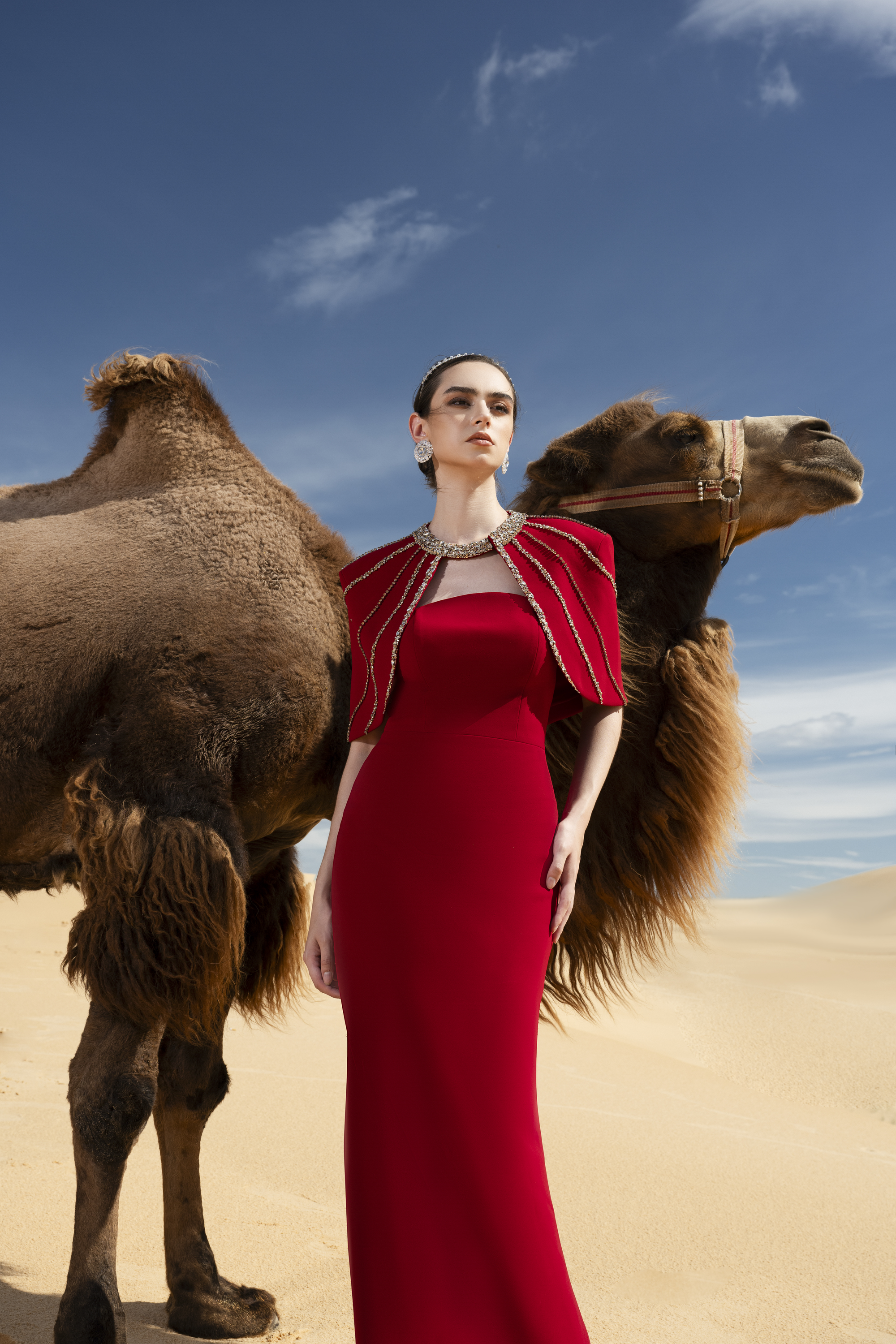 Crystal Cape Red Column Maxi Gown