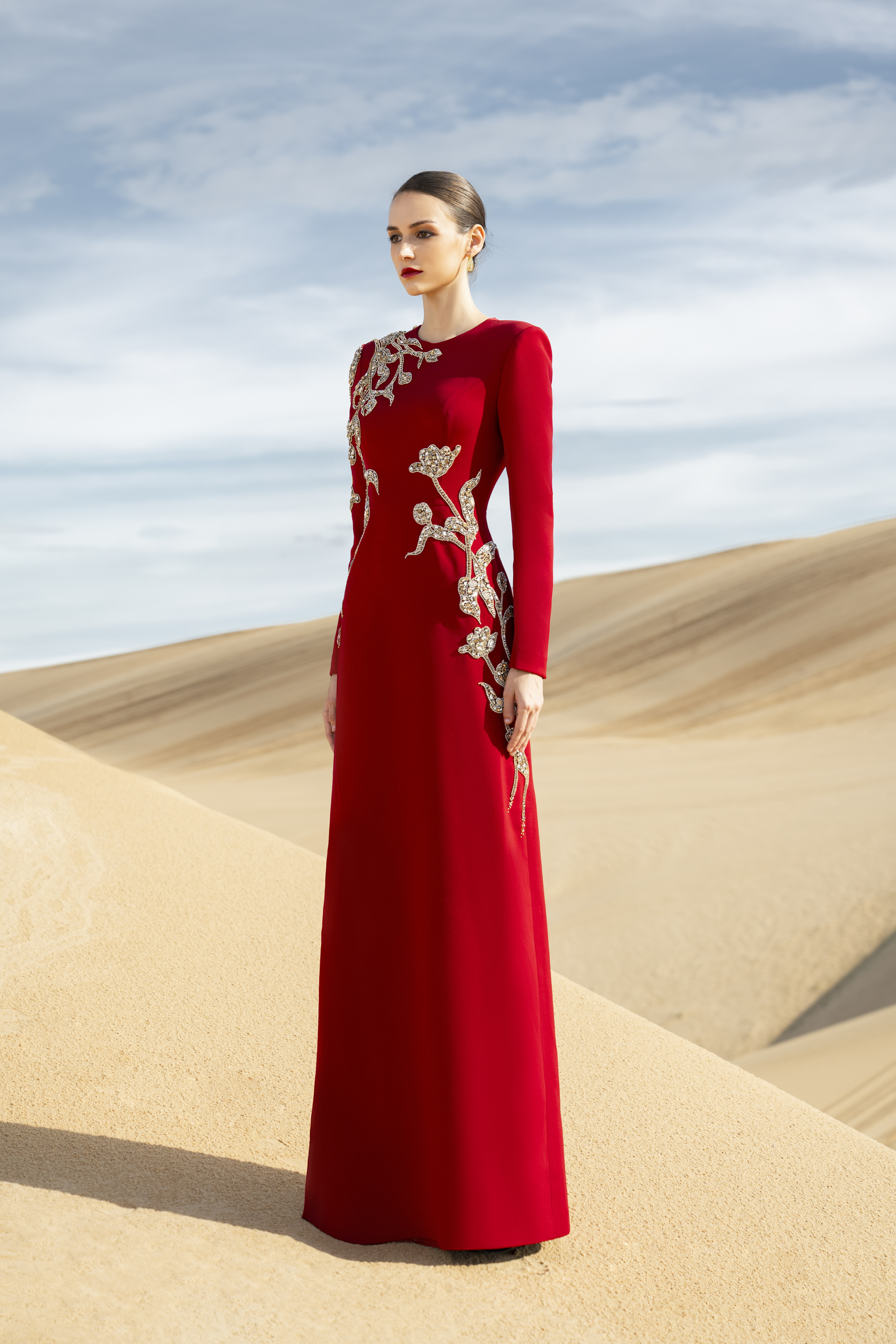 Matilde A-line Long Sleeved Velvet Satin Maxi Dress