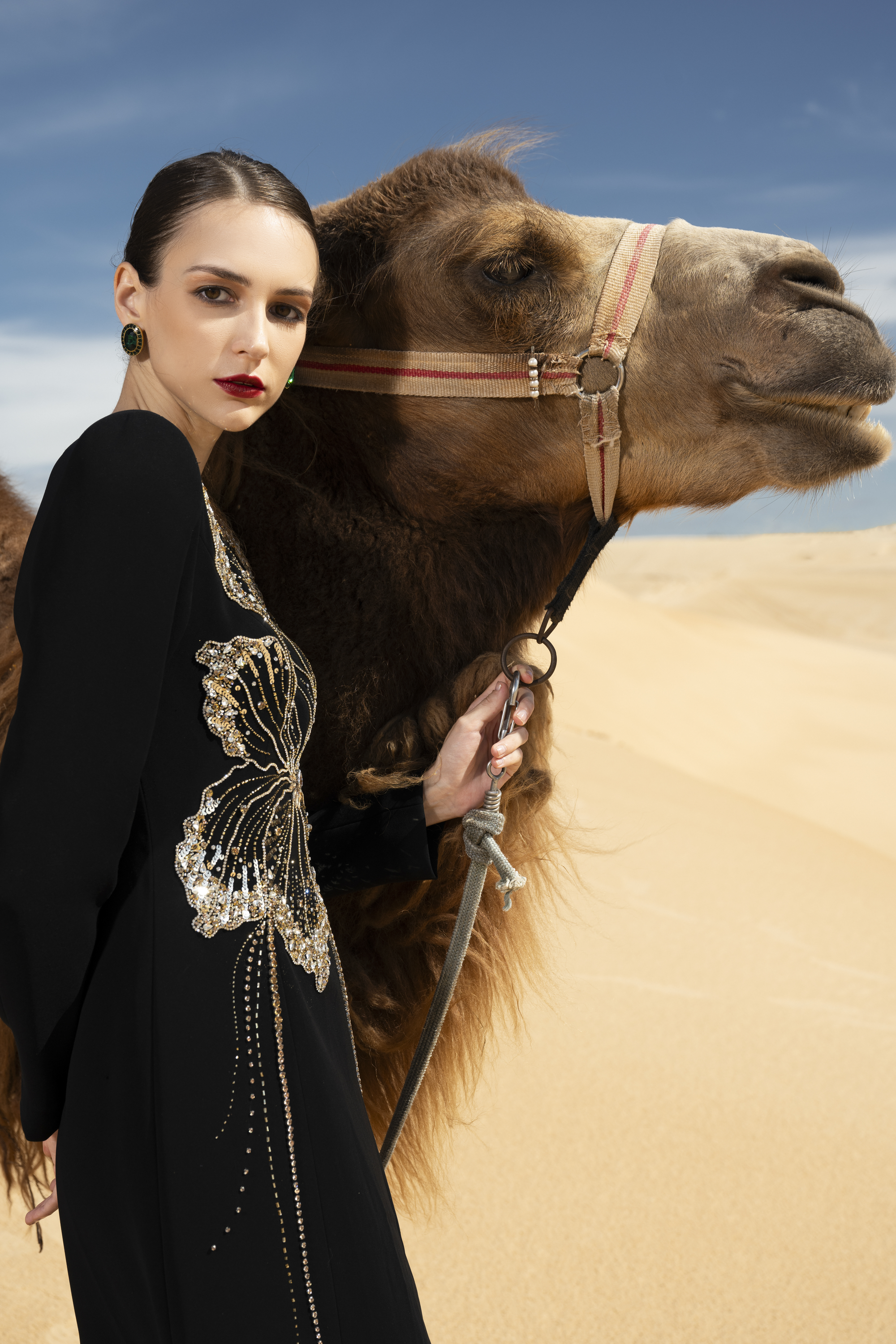 Orchid Embellished Black Long Sleeve Maxi Gown
