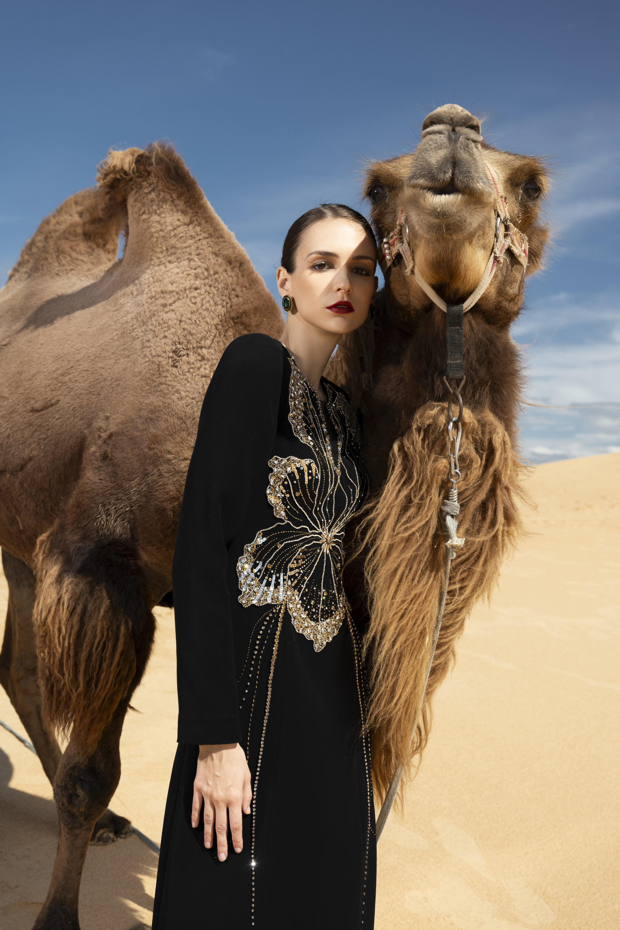 Orchid Embellished Black Long Sleeve Maxi Gown