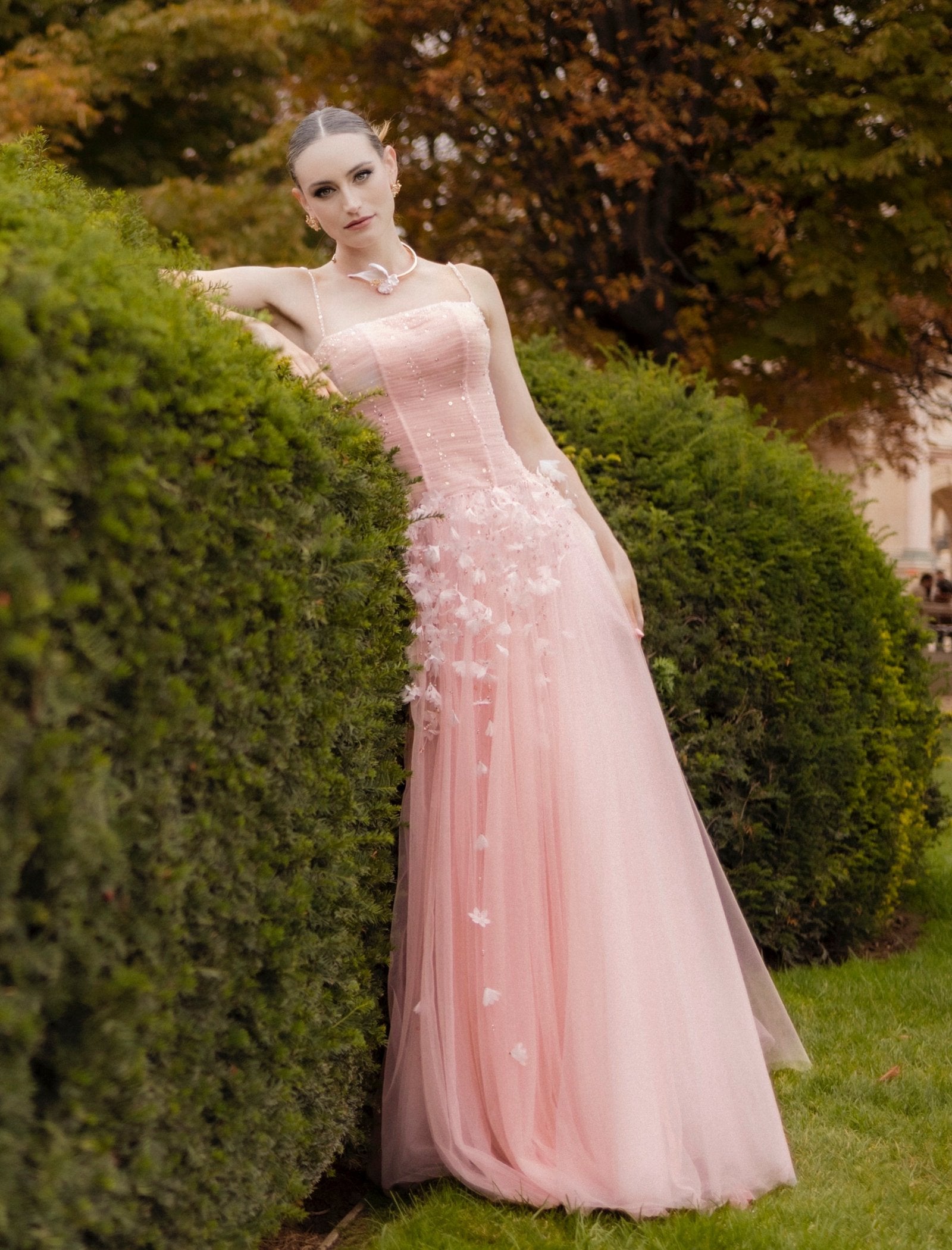 Rachel Dress image 5