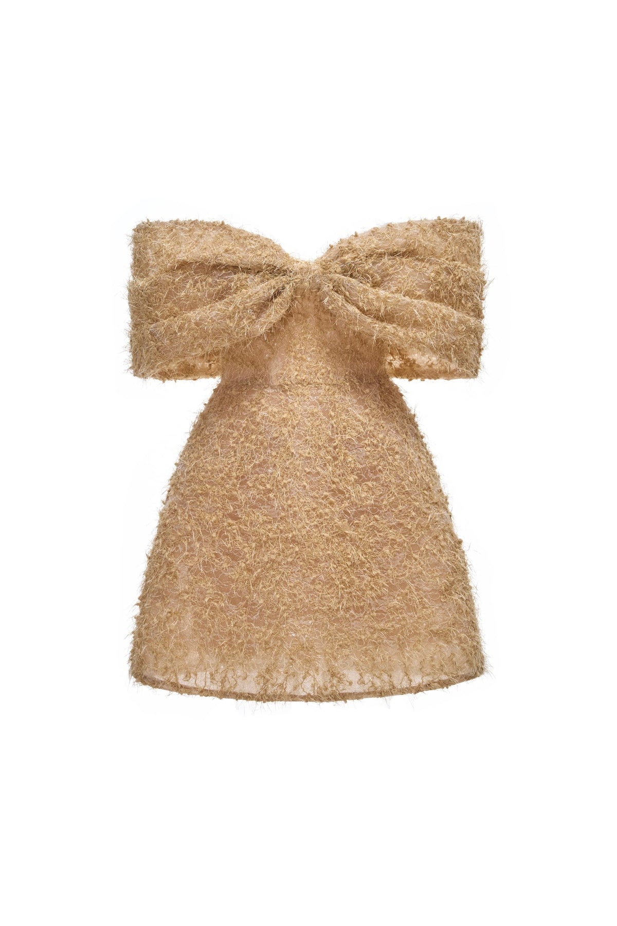 Off-Shoulder Fringed Lace Corset Mini Dress